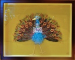 peacock ~ vibrant