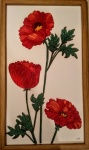 poppy panel